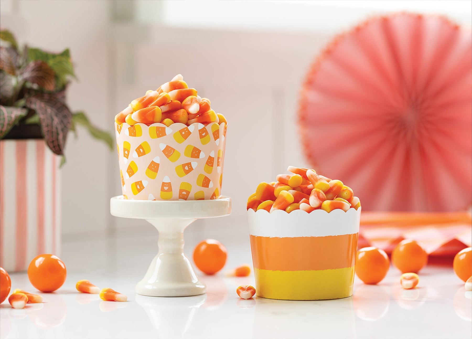 Oh So Fancy has a BOOtiful collection of Halloween baking and treat cups to make your sweet treats even more spooktacular!