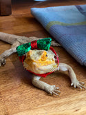 Christmas Dog Bow Tie