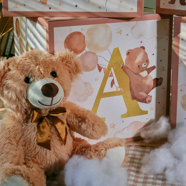 We Can Bearly Wait Baby Block Boxes