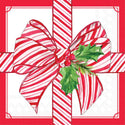 Wrapped In Christmas Spirit Cocktail Napkins - 20 Count