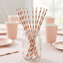 Light Rose Gold Striped Paper Straws