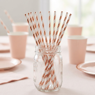 Light Rose Gold Striped Paper Straws
