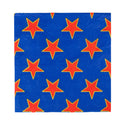Blue Stars Paper Plates