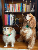 Christmas Dog Bow Tie
