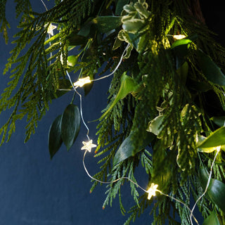 Gilded Star String Lights