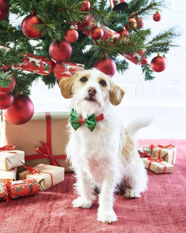 Christmas Dog Bow Tie