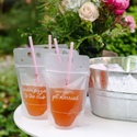 Two plastic cups with pink straws and printed text on a white surface with flowers in the background.