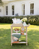 Hopscotch Gingham Spring Dinner Napkin
