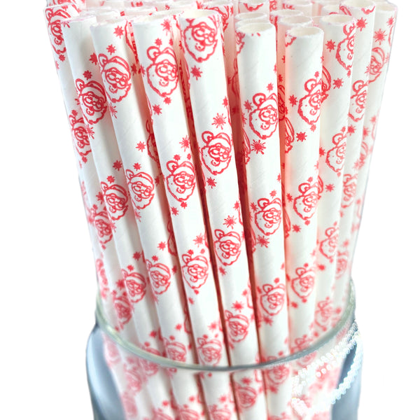 Christmas Mix Paper Straws
