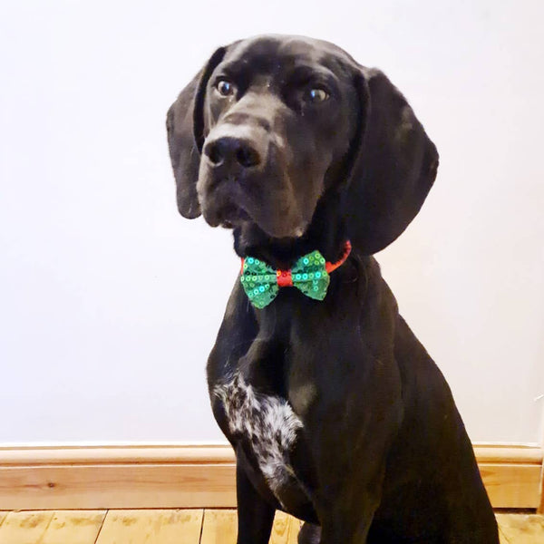 Christmas Dog Bow Tie