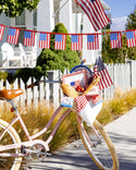 Gingham Flag Paper Plate