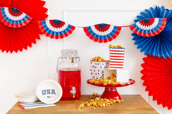 Gingham Flag Paper Plate