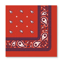 THOMAS & FRIENDS™ TRAIN SMALL BLUE BANDANA NAPKINS