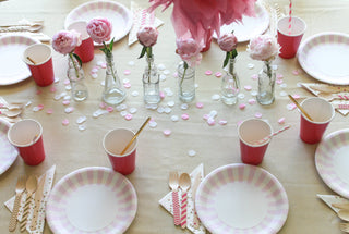 Light Pink Dinner Plates 