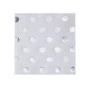 White and Silver Small Plates 