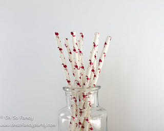 Paper Straws 