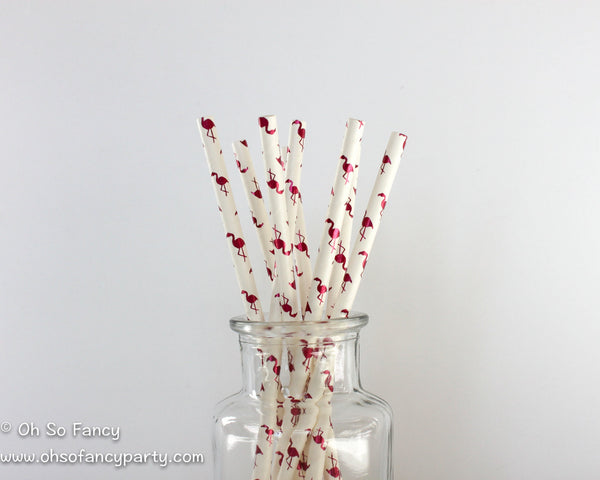 Paper Straws 