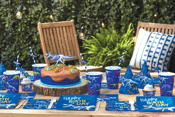 Blue Party Fan Set 