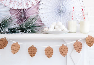Pinecone Banner 