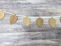 Pinecone Banner 