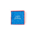 Blue Party Hat Plate / Party Hat Plates / Hooray Paper Plates / Red Birthday Hat Plate /