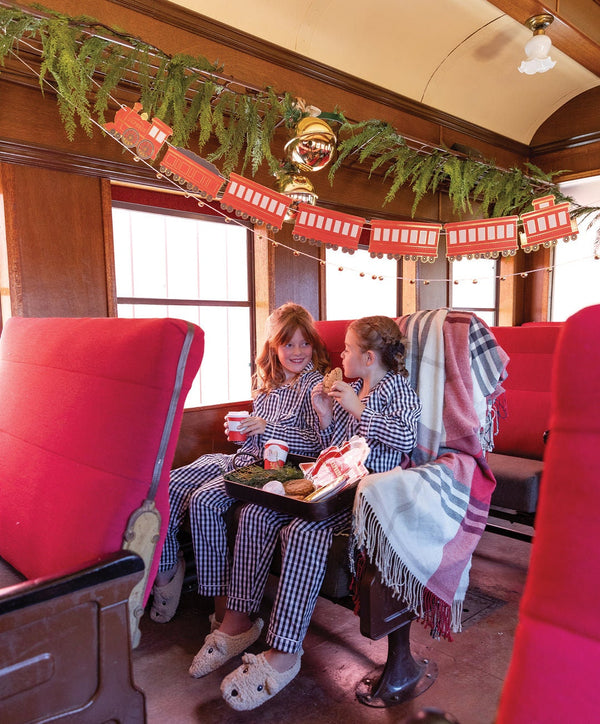 North Pole Express Napkins / Train Ticket Shaped Napkins / Christmas Napkins / Holiday Party Napkin / North Pole Express / Christmas Napkins